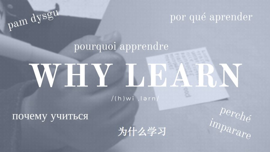 why-learn