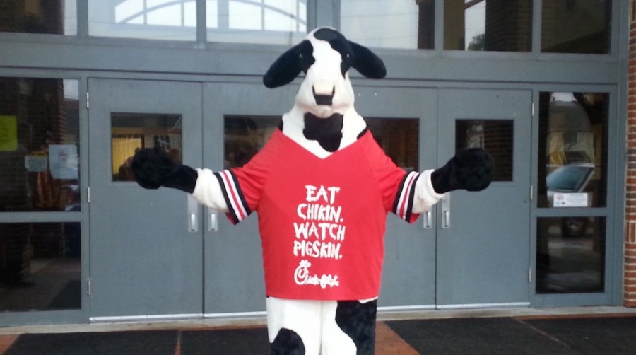 To+promote+excitement+for+the+last+home+game+of+the+season%2C+the+Chick-fil-a+cow+greets+students+in+the+morning+at+the+front+of+the+school.+The+cow+and+a+representative+of+Chick-fil-a+also+appeared+on+the+morning+announcements+to+get+students+in+the+game+day+spirit.