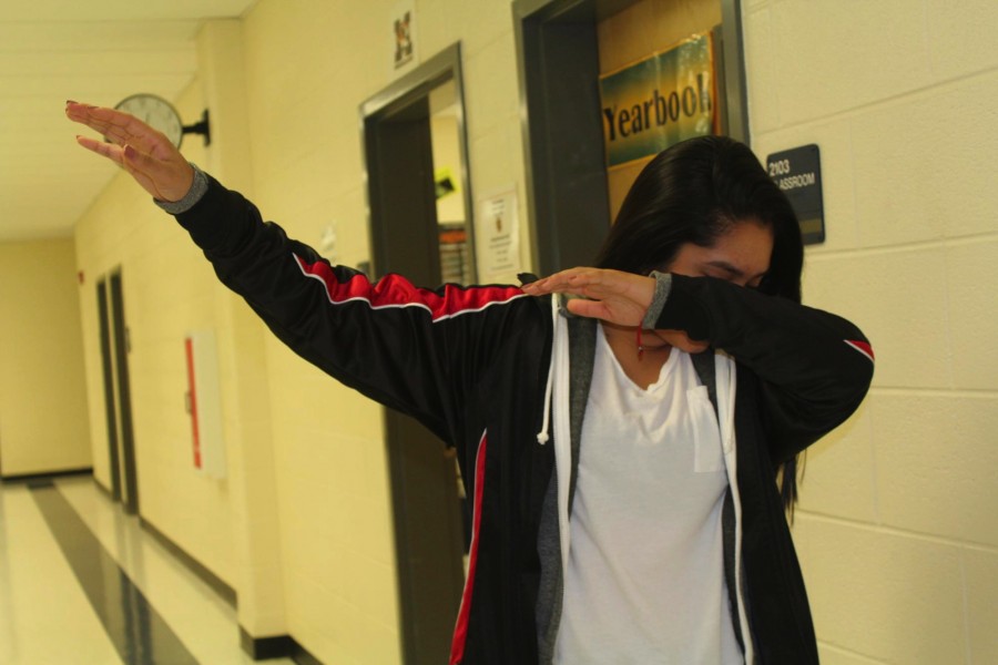Ultimately, one can “dab” to any song or no song. Sophomore Stephanie Garcia explains “ ‘I Want’ by Madeintyo is probably best song to dab to.” 
