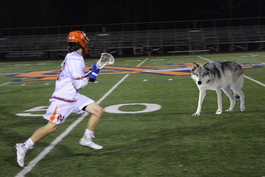 A lacrosse player runs with his new teammate.