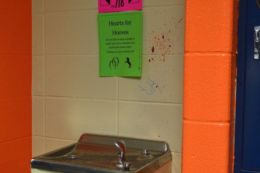 Trying to prepare for Halloween, students spook others with a red liquid splattered over the water fountain. Students walk past the unsettling scene with a worried look on their face, but then notice the puddle of red energy mix on the floor. Kids continue joking around and enjoy the spooky ambiance.   