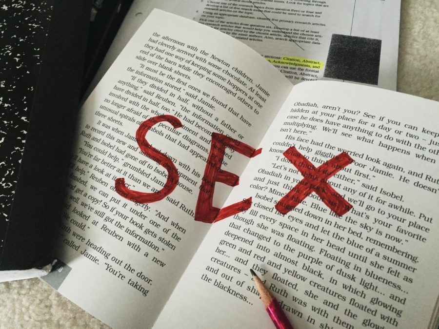 Sexual health exists as an essential unit in a typical health class required to graduate, and yet students often leave more confused and unsure about sex education. What should and should not be discussed in sex education?