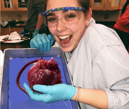 Junior Priscilla Peterson, rejoices when she finally made the heart come back to life. “The feeling of the beating heart in my hand was a little gross but really amazing at the same time. I am still in awe of what I could do,” Peterson said.
