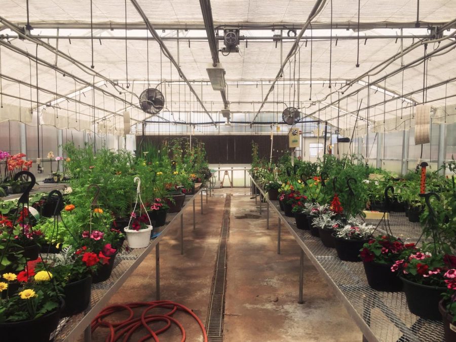 The Greenhouse Gangs annual plant sale for Mothers Day will take place from Thursday, May 10 through Saturday, May 12. All items stay within a students price range and will make the perfect gift for mothers.