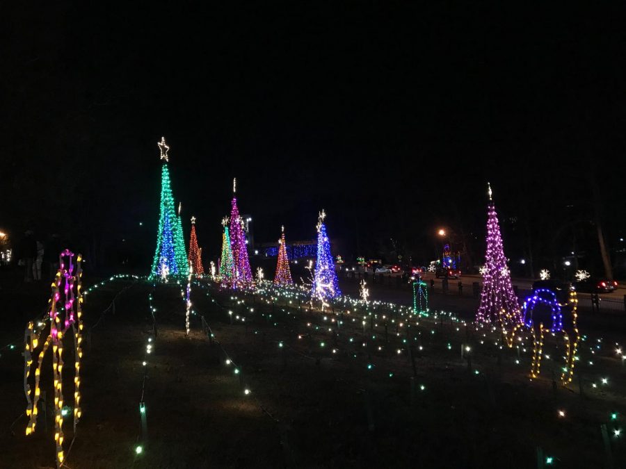 These iconic, colored trees catch the eye of anyone who either walks or drives by with lights that take the form of different animals such as a camel or a goat. “This display makes me feel like the song ‘Holly Jolly Christmas’ since Christmas trees make me incredibly happy,” Butler said.