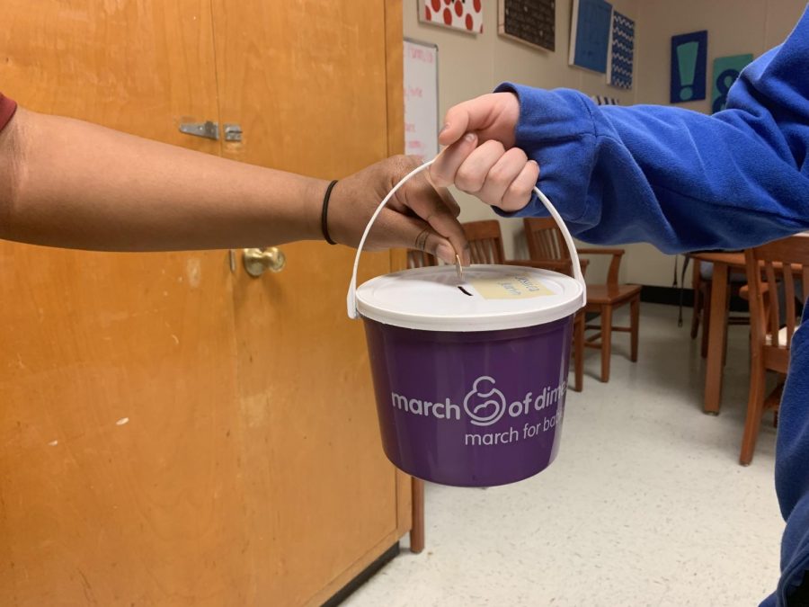 NC’s National Honor Society (NHS) recently started accepting donations towards March of Dimes, an organization that helps improve the health of mothers and their children. All donations will go towards any research to help prevent premature birth and any birth defects. Find an NHS member with a purple bucket and donate your loose change today!