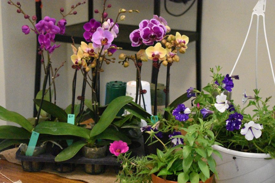 The Greenhouse Gang’s plant sale ends tomorrow, May 7th at 2:00 p.m. Students, staff and family members may buy fresh plants with their families for preparation for Mothers day, as the plants make for a great Mother’s day gift. 