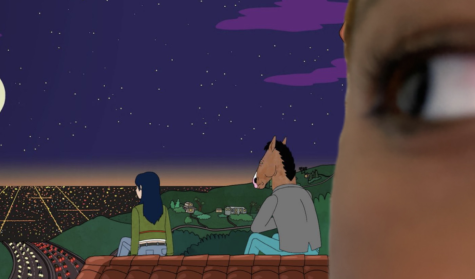 Looking back, the Netflix original “Bojack Horseman” stands as a highly developed series dedicated to sharing real stories while using the animation format. Through this juxtaposition of anthropomorphic animals and people, audiences peer through the window of protagonist Bojack’s life and further their understanding of what “living your truth” means to them.
