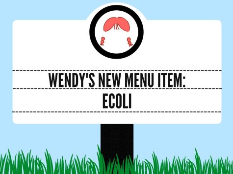 A recent multi-state E. coli outbreak connects back to Wendy’s lettuce used in the company’s sandwiches. Individuals with E. coli symptoms remain encouraged to report any concerns to a health department to reduce the spread of the disease. Until health officials determine the cause, the Center for Disease Control and Prevention encourages customers to continue eating at Wendy’s, until the release of further information on the investigation.