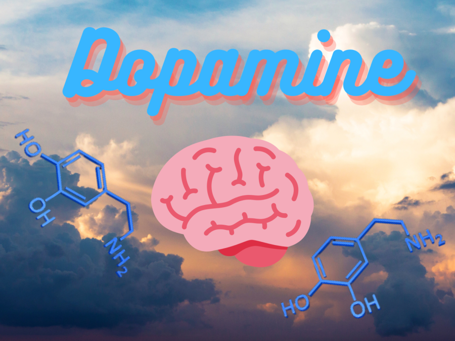 Addiction to the hormone dopamine becomes prevalent as time progresses. People who restrict dopamine-stimulating activities feel happier and find joy in life’s simple aspects. Hormonal balance takes importance, especially with dopamine. Excessive dopamine can cause depression and feelings of emptiness.