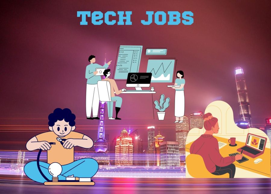 People in the technology field can earn six figures on average and earn stocks from their companies too. Corporations need people for jobs such as data scientists and software developers. As the world becomes digital, jobs in the tech industry will continue to grow and remain in high demand. People can work in companies like Apple and Amazon and other medium companies such as Spotify or Microsoft.
