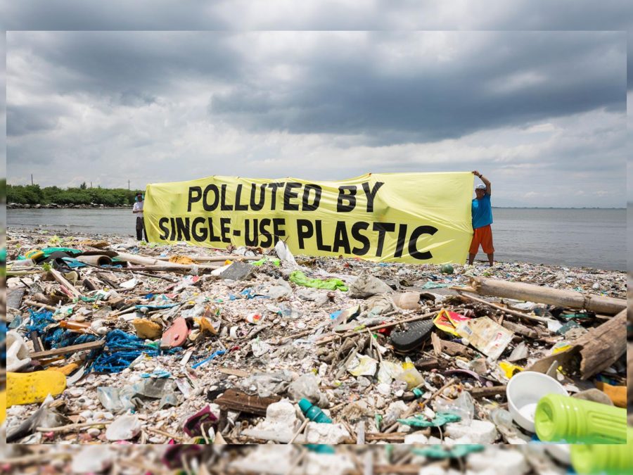 Single-use plastics derive from small petroleum-refined pellets called nurdles, creating various disposable plastics once melted and molded. Only used once and then thrown away, single-use plastics present a major issue in the environment, polluting oceans and killing marine animals. 