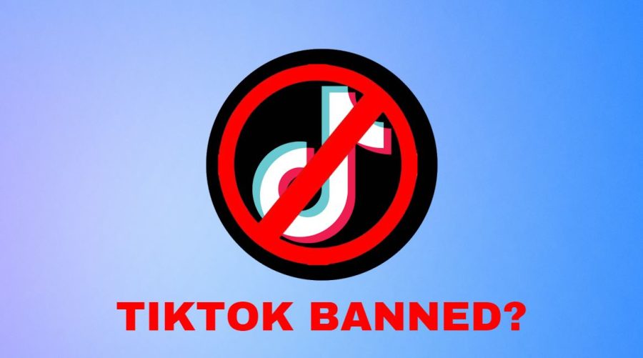 Counties across the globe have made efforts to ban the TikTok app due to suspicions of the company extracting data. States such as Montana have taken part in the banning and encouraging other states to do so as well. People question if their country will appear next in line to ban the most popular app of the year.