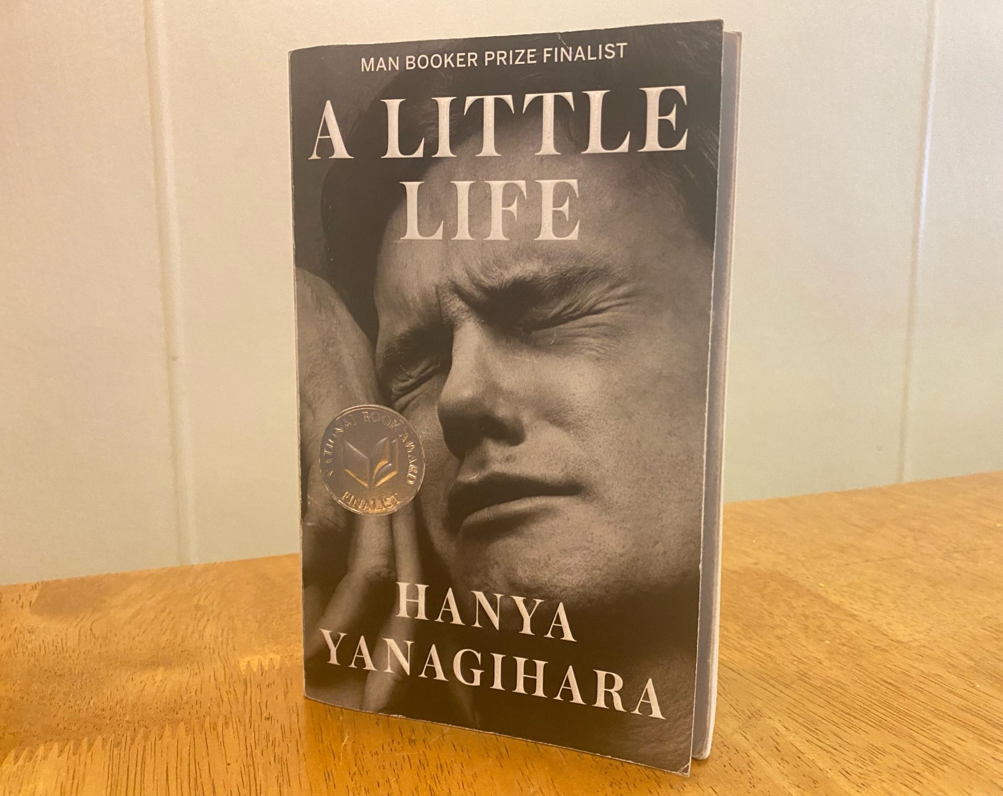 How Hanya Yanagihara's modern classic, A Little Life, took on a visual life  of its own - Pan Macmillan