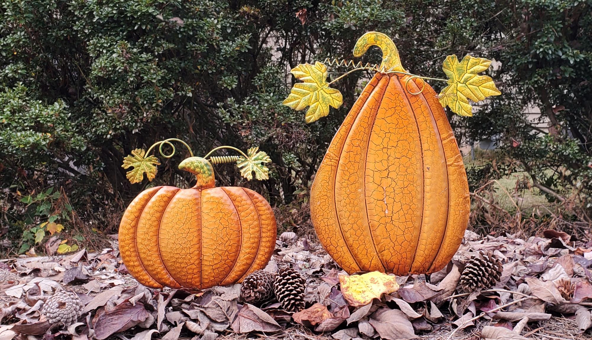 What started as an agricultural process eventually evolved into an exciting fall activity for families and friends to enjoy. Pumpkins can meet specific entertainment needs and involve different cultural practices. These applications do not always include eating or decoration, but rather a variety of applications, each with its unique purpose.