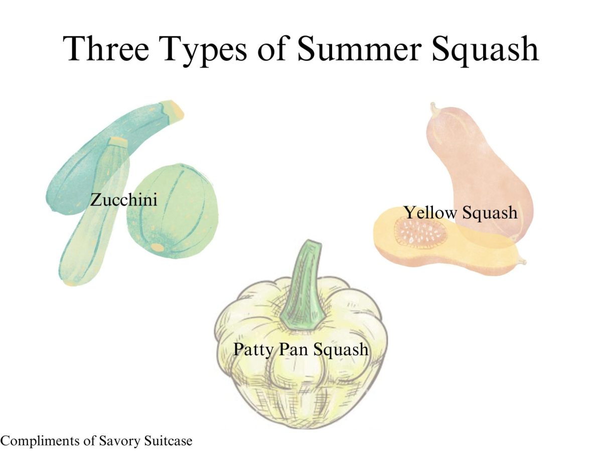 Summer Squash