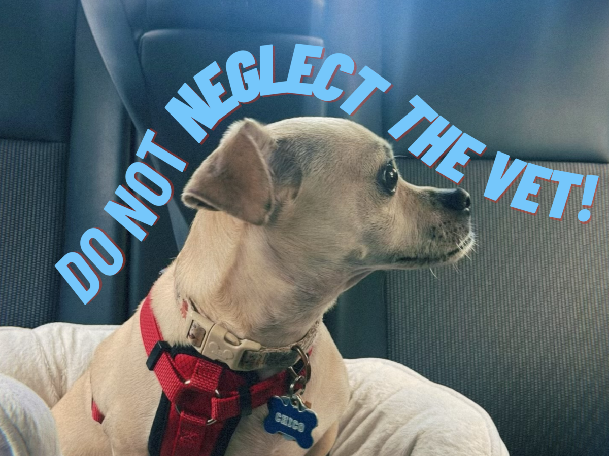 	Similar to humans, dogs and cats need checkups to ensure that they remain healthy. From a young age, pets should receive the proper preventative care — whether every six months or once a year, depending on age — to catch potential diseases at an early stage. Today, pets worldwide face the consequences of illness or potential death due to their owners’ lack of attention to veterinary care. 