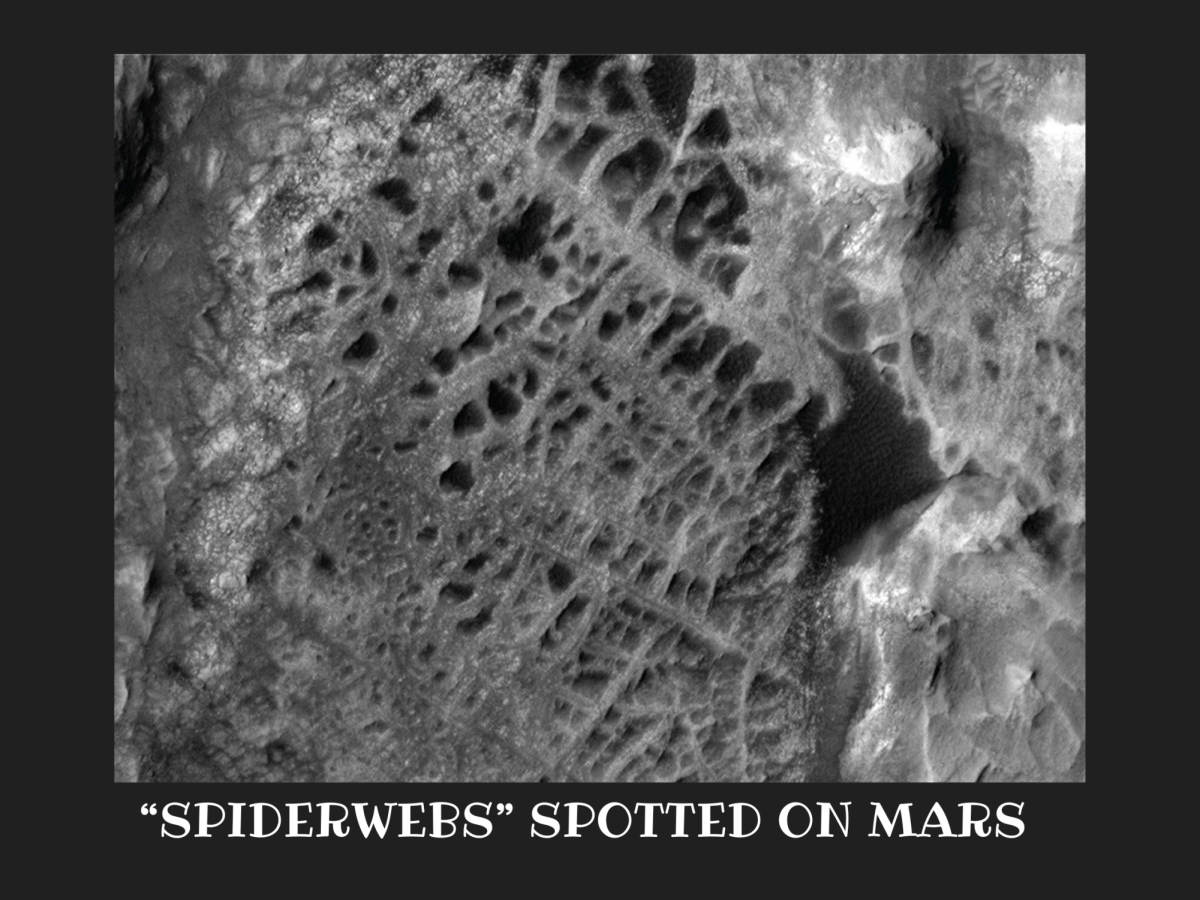 The National Aeronautics and Space Administration’s (NASA) Curiosity Rover has explored Mars to provide the human race with answers about the Martian landscape for the past six months. Recently, the rover revealed spiderweb-like formations and egg-like modules upon the surface, causing a rise in discussion of extraterrestrial life amongst interested individuals. In an exciting turn of events, the formations on Mars’ surface revealed a deeper history of the planet.