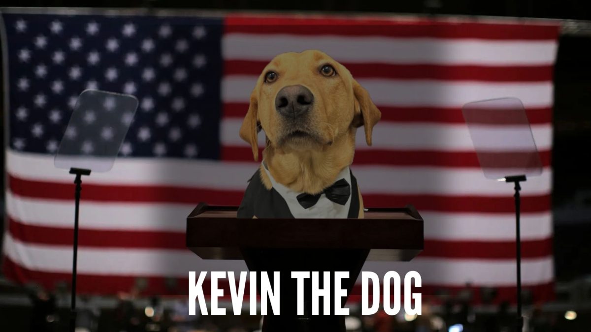 One member of the NC staff students never dread seeing in the hallway is Kevin the drug-sniffing dog. A vital member of the faculty, Kevin constantly works the scenes honing his skills early in the morning and late into the night. While his presence ensures a safe environment for all, his lovable energy turns routine safety checks into a moment of joy for students and staff alike.
